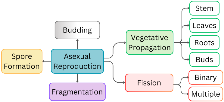 types