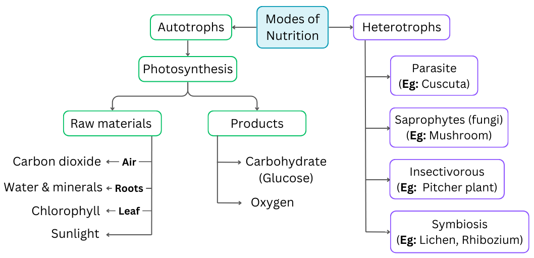 Nutrition