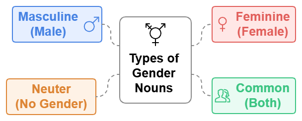 Gender Nouns