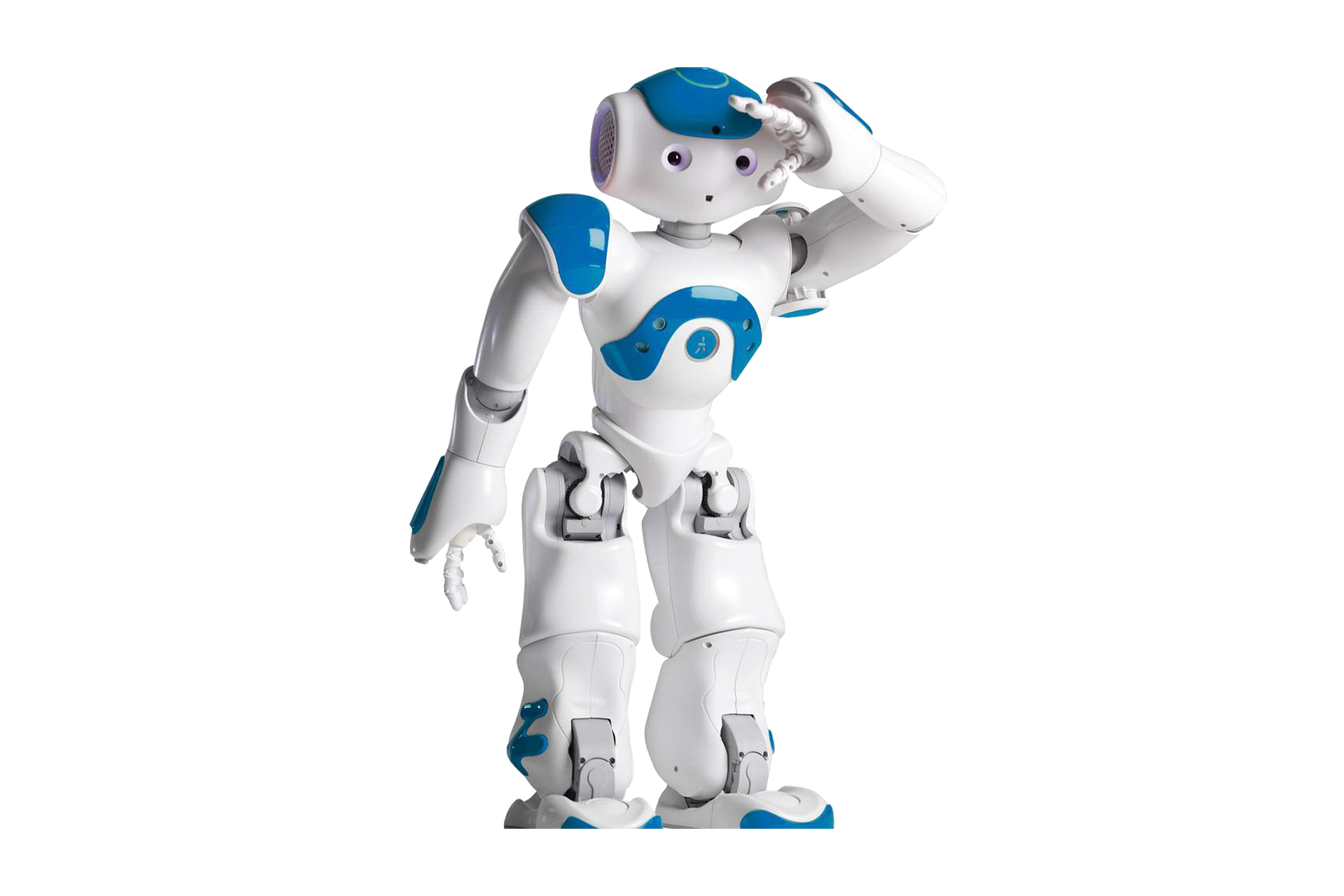 Searching Robot